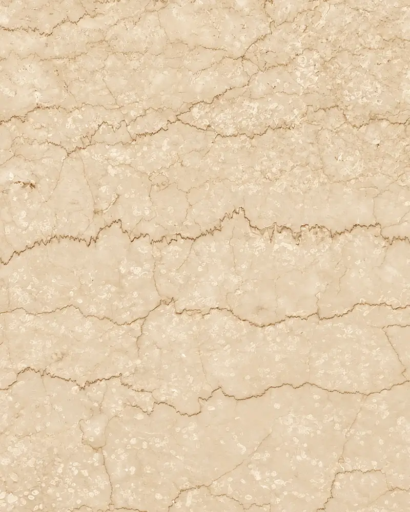 Bidasar Brown Indian marble slab