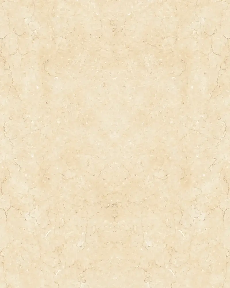 Bidasar Brown Indian marble slab