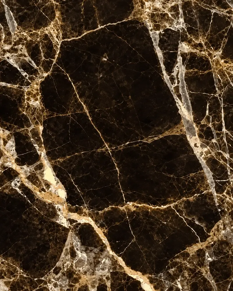 Bidasar Brown Indian marble slab