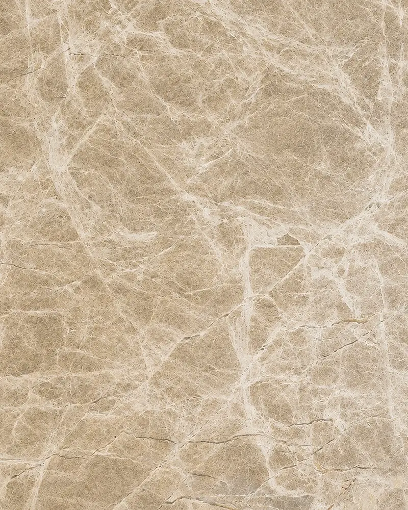Bidasar Brown Indian marble slab