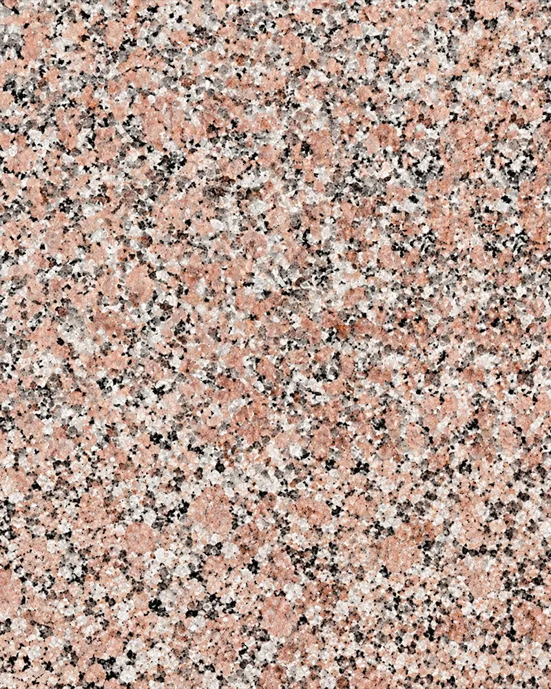 Bidasar Brown Indian marble slab