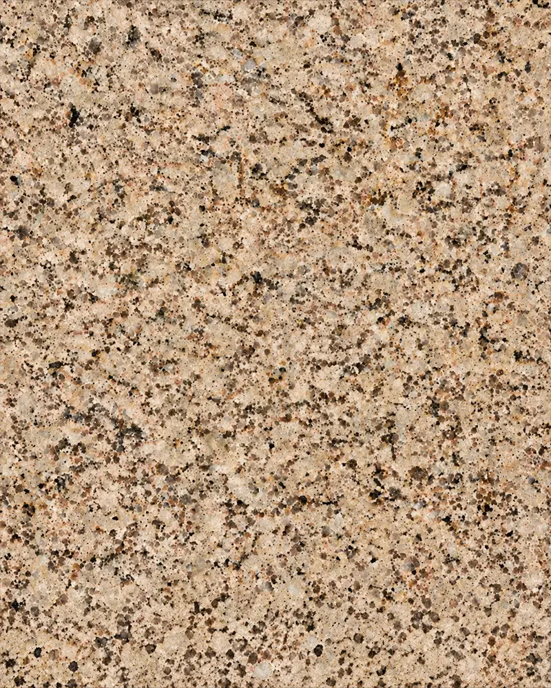 Bidasar Brown Indian marble slab