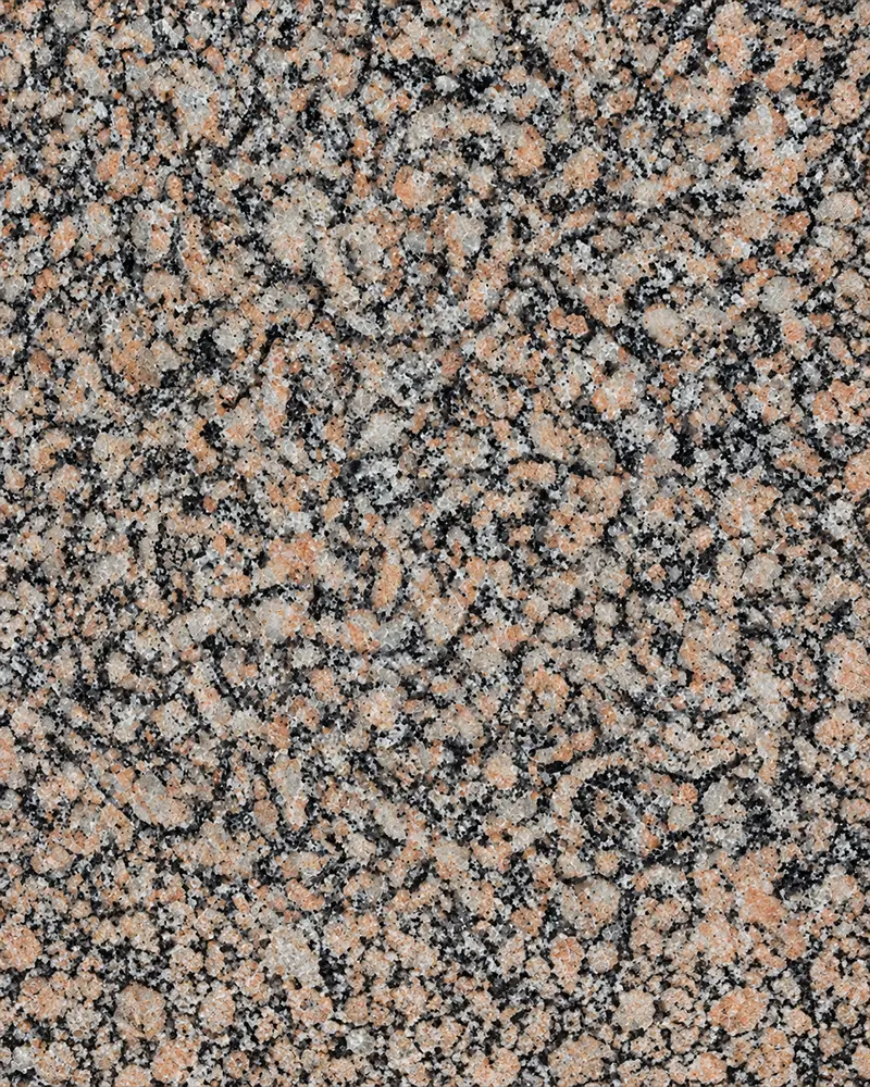 Bidasar Brown Indian marble slab