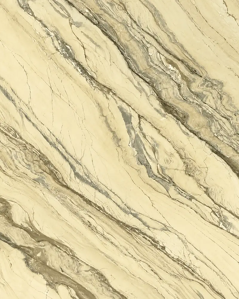 Bidasar Brown Indian marble slab